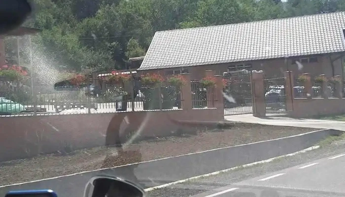 Orasa Recenzii - Orășa