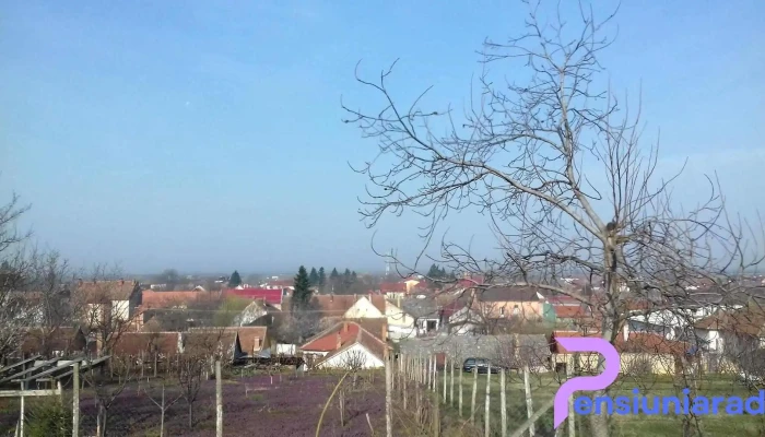 Oraş Pâncota - Romania