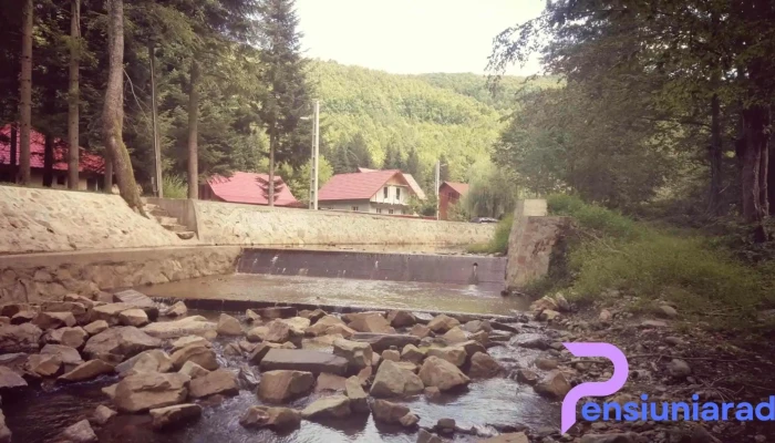 Padurea Neagra Munte - Pădurea Neagră