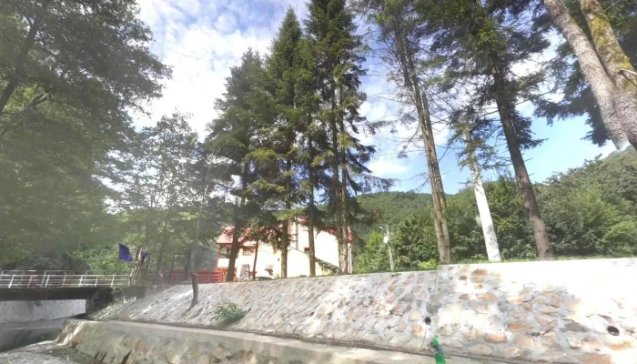 Padurea Neagra Street View Si 360deg - Pădurea Neagră