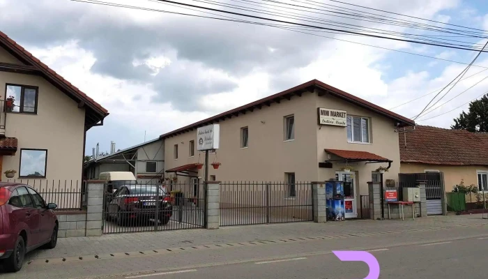 Paine Traditionala -  Adresă - Moșnița Veche