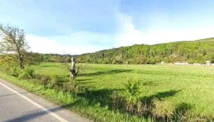 Palace -    Pensiune   Restaurant Street View Si 360deg - Cărpinet