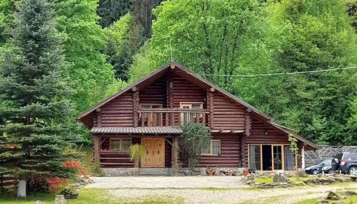 Paltinu - Sucevița 727510