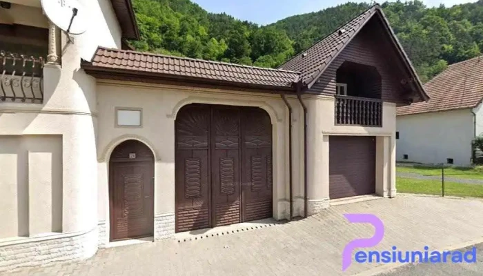 Panoramic Chalet Sugag - Șugag 517775