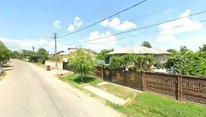 Parc Cocorastii Colt Street View Si 360deg - Cocorăștii Colț