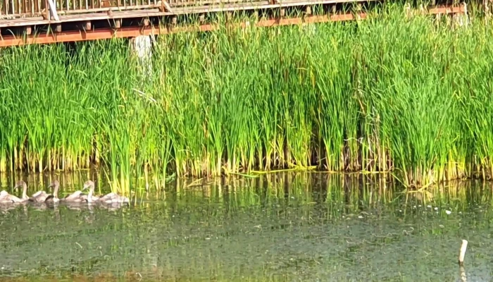 Parc Tematic Jegalia -  Adresă - Jegălia