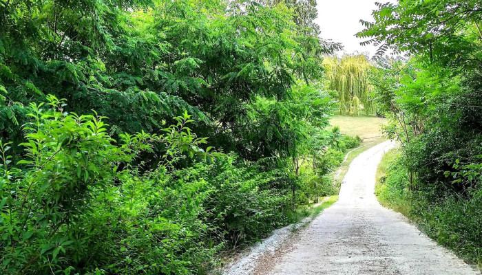 Parcul Bragadiru -  Fotografii - Bragadiru