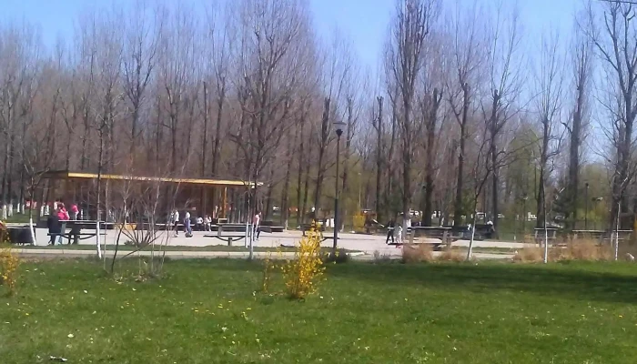 Parcul Bragadiru -  Zonă - Bragadiru