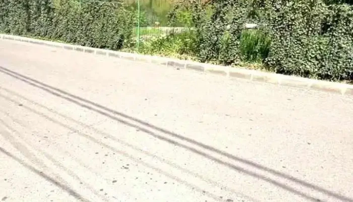 Parcul Hanul Doctorului Cele Mai Recente - Craiova