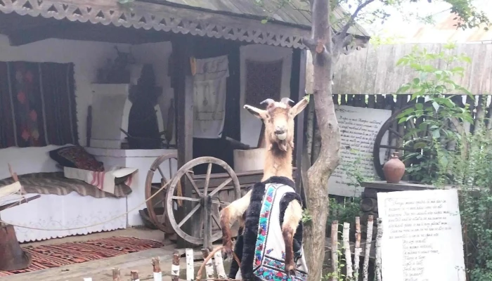 Parcul Tematic Ion Creanga Videoclipuri - Humulești