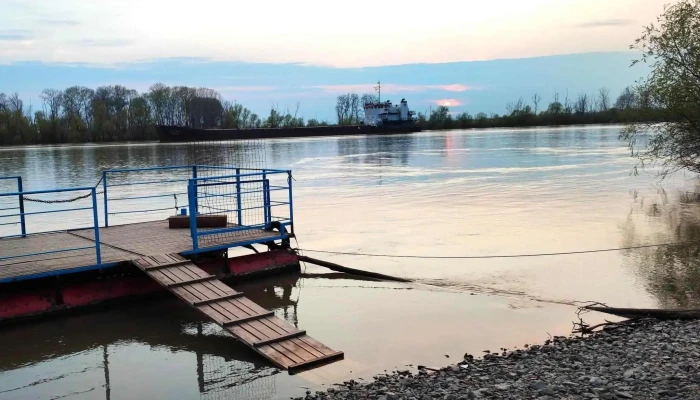 Pardina -  Promoție - Pardina