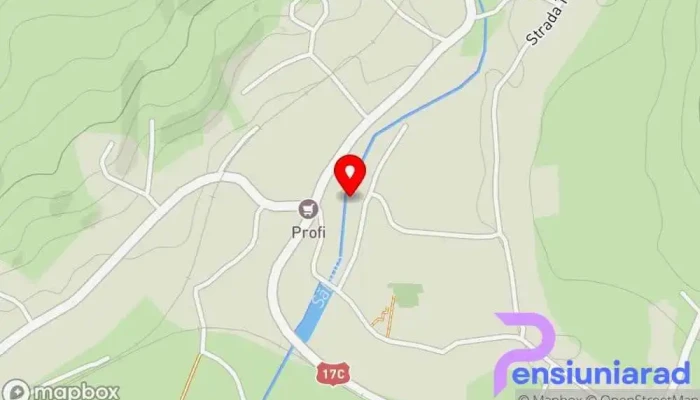 hartă a PAROHIA ORTODOXĂ SALVA Biserică în Salva