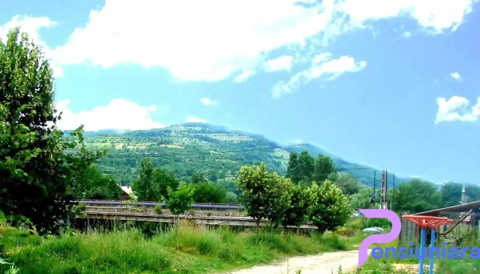 Parohia Ortodoxă Salva - Salva
