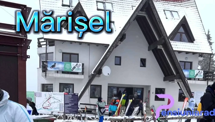 Partia Marisel Iarna - Mărișel