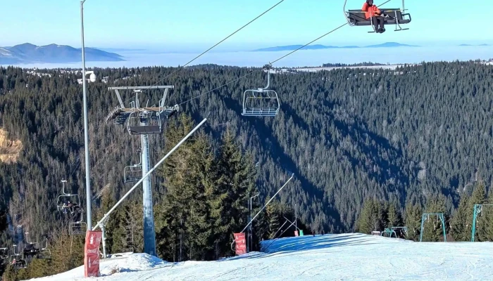 Partia Marisel Site Web - Mărișel
