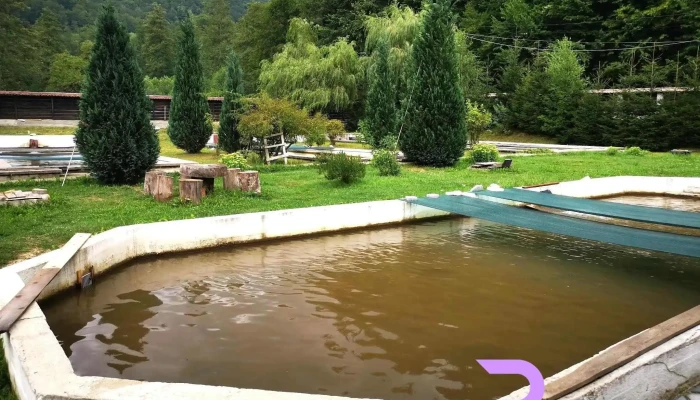 Pastravaria Cascada Rausor Dotari - Berevoești