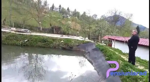 Pastravaria Ciprian Videoclipuri - Rodna
