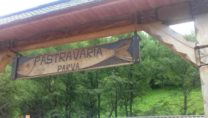 Pastravaria Parva -  Videoclipuri - Parva