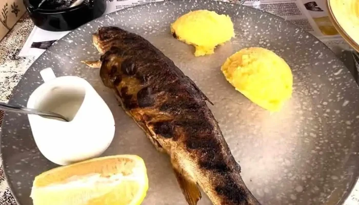 Pastravaria Poiana -  Biban De Mare - Mălini