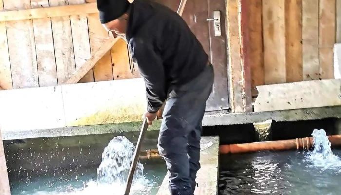 Pastravaria Rin Romuli Cele Mai Recente - Romuli