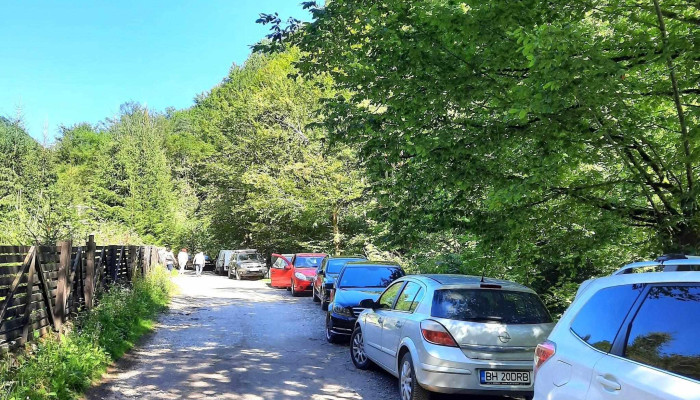 Pastravaria Soimus -  Promoție - Roșia