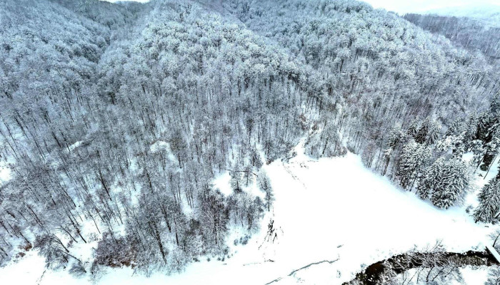 Pastravaria Valea Rausorului Street View Si 360deg - Berevoești