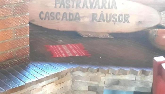 Pastravaria Valea Rausorului Telefon - Berevoești