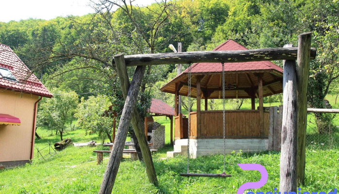 Patru Anotimpuri - Nămăești 117591