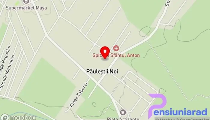 hartă a Păuleștii Noi  în Păuleștii Noi
