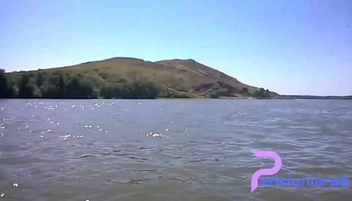 Peceneaga -  Munte - Peceneaga