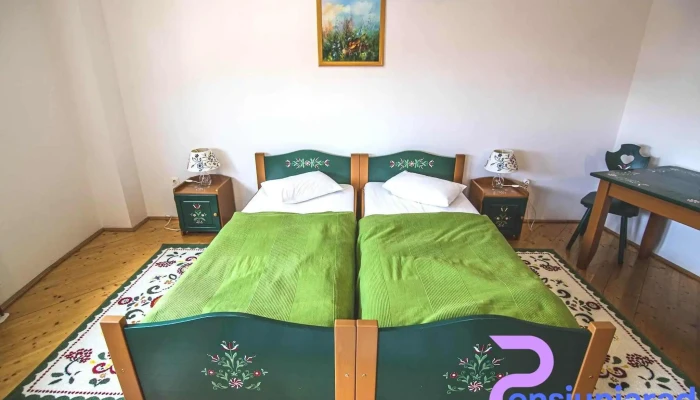 Pension Amade -  De La Proprietar - Siculeni