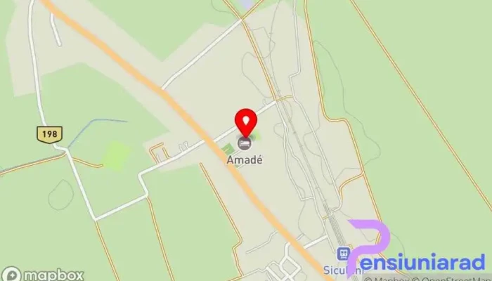 Pension Amade - Siculeni