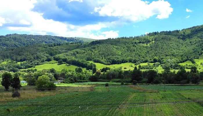 Pensiune Agroturistica Popas Salciua -  Telefon - Sălciua De Sus