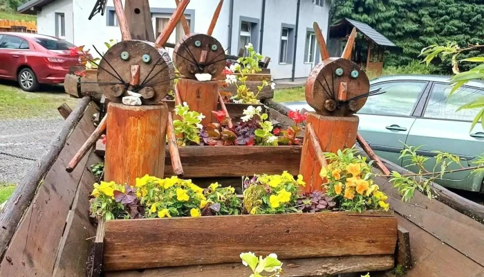 Pensiune Arieseni Casa Binu -  De La Vizitatori - Arieșeni
