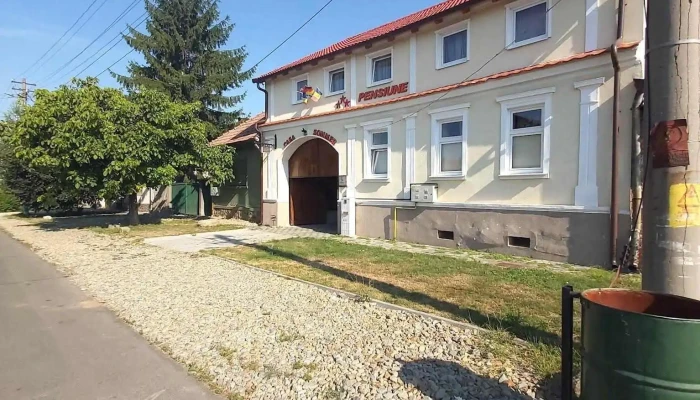 Pensiune Casa Sommer -  Exterior - Petrești