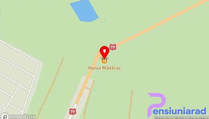 hartă a Pensiune-Han Madaras Restaurant în Salonta