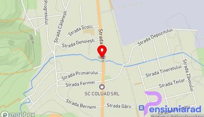 Pensiune Restaurant Central Podari -  Hartă - Podari
