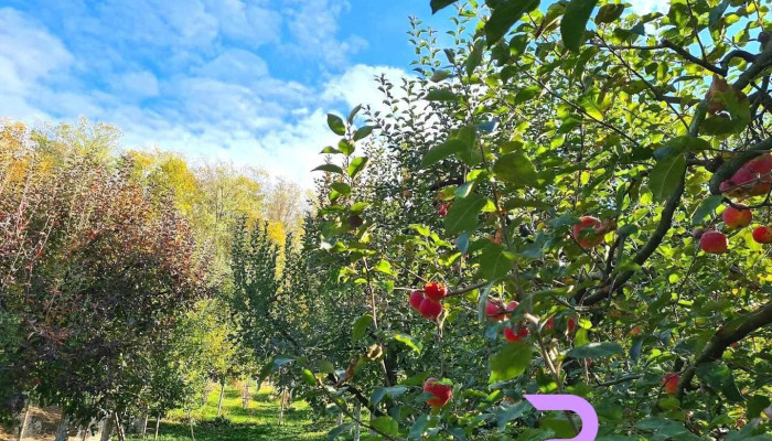 Pensiune În Vârful Dealului - Izvoarele