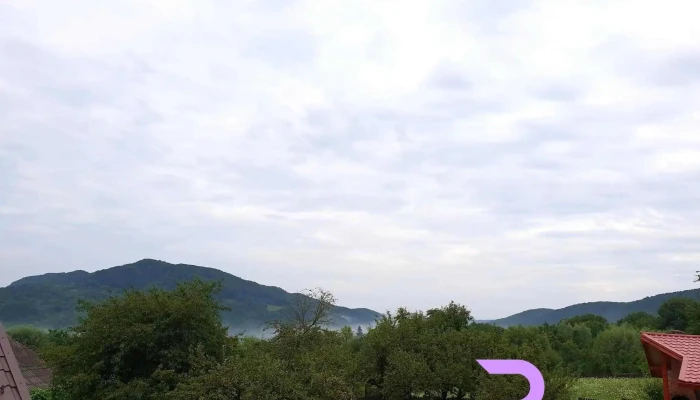 Pensiunea Agroturistica Ioana -  Cabana - Brăduleț