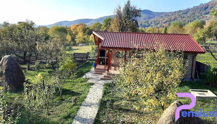 Pensiunea Agroturistica Ioana -  Exterior - Brăduleț