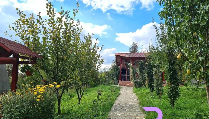 Pensiunea Agroturistica Ioana -  Fotografii - Brăduleț