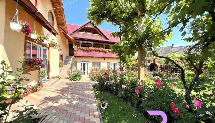 Pensiunea Alina -  Exterior - Filioara