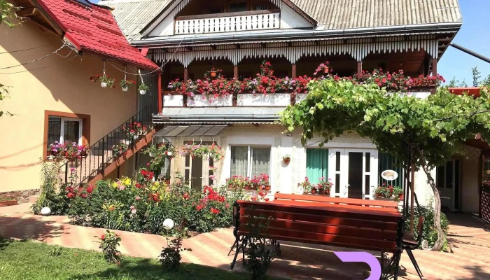 Pensiunea Alina -  Zonă - Filioara
