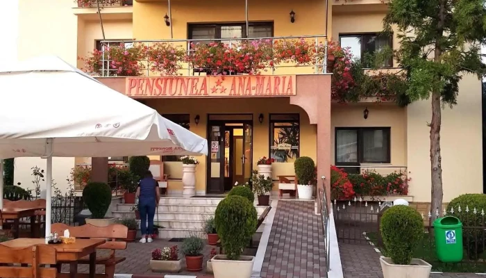 Pensiunea Ana Maria -  Exterior - Brad