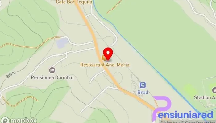 hartă a Pensiunea Ana Maria Pensiune, Restaurant în Brad