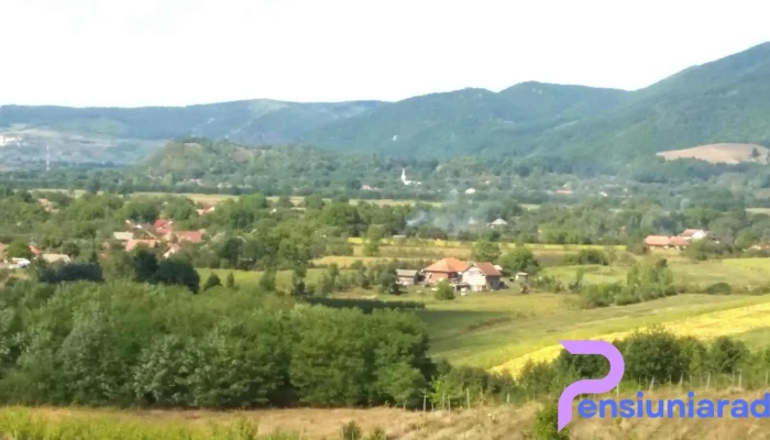 Pensiunea Andra Ade De La Vizitatori - Năpradea