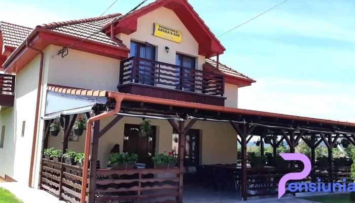 Pensiunea Andra Ade Exterior - Năpradea