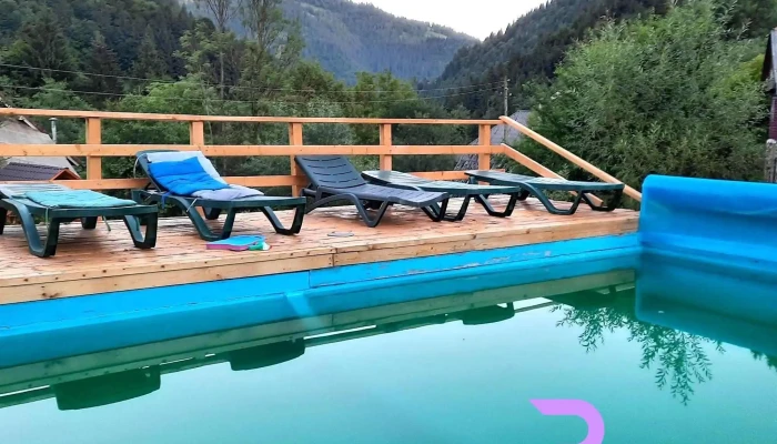 Pensiunea Andra Albac -  De La Vizitatori - Rogoz