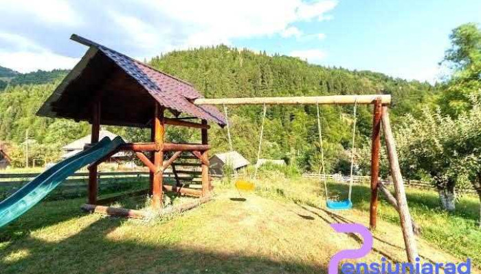 Pensiunea Andra Albac - Rogoz