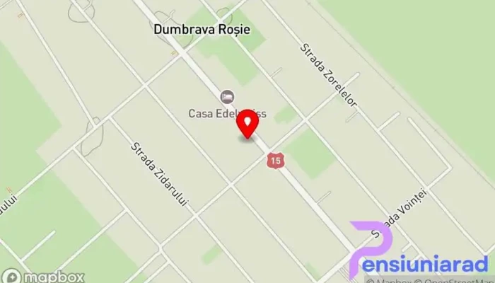 hartă a Pensiunea Andra Bed & Breakfast în Dumbrava Roșie